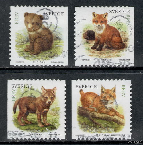Швеция /2005/ Фауна / Зверята / Рыси / Медведи / Волки / Лисы / Michel #SE2487-2490 / Серия 4 Марки