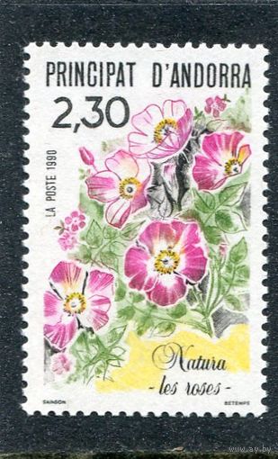 Андорра французская. Цветы. Розы