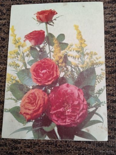 Цветы.фото Дергилева. 1990г