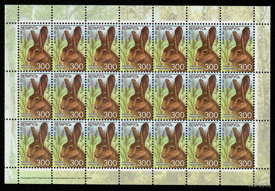 Беларусь. 2008. Стандарт. Заяц-русак (300р) (з.372-2008) Лист