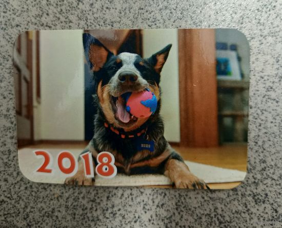 Календарик карманный пес с мячом 2018