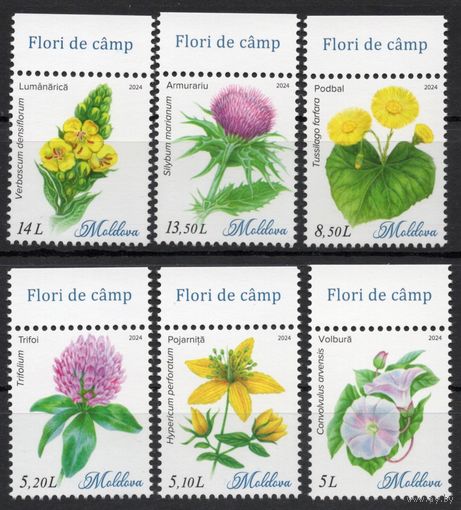 Молдова 2024. Флора. Полевые цветы 4 марки (884)