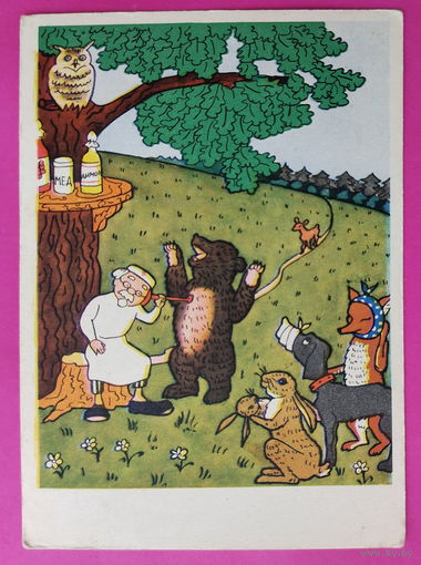 Айболит. Чистая. 1962 года. Могилевский. 2265.