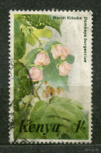 Цветы. Мальва Домбея Берджесс. Кения. 1985