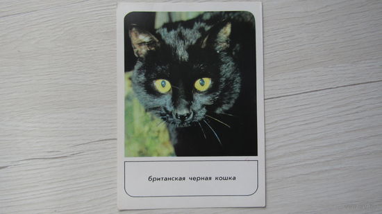 Открытка