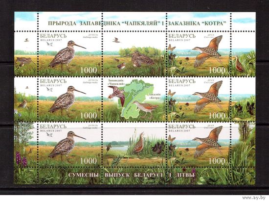 Беларусь-2007,(Мих.670-671) м/л  Заповедник(Птицы)