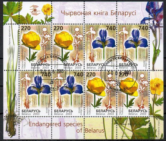 Редкие виды цветов Беларусь 2003 год (513-514) 1 малый лист