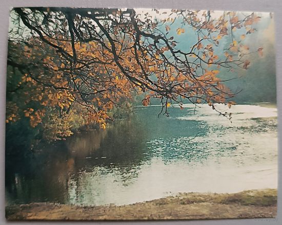 Осень. Мини-открытка, чистая, 1985г.