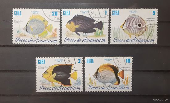 Куба. 1985 год. Фауна. Рыбы (5 марок из серии)