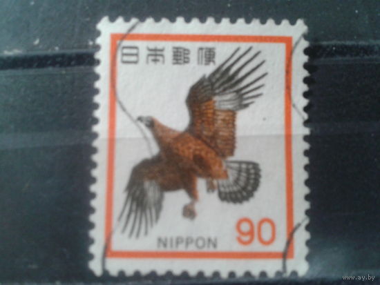 Япония, 1973. Беркут