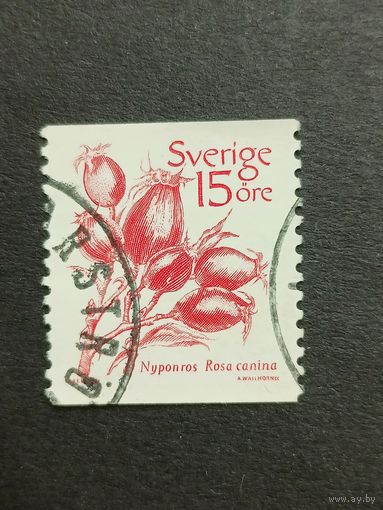 Швеция 1983. Фрукты