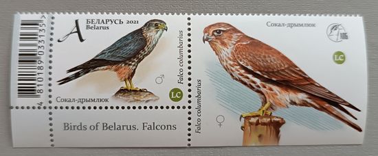 Сокол (из серии). Марка с купоном. Беларусь, 2021