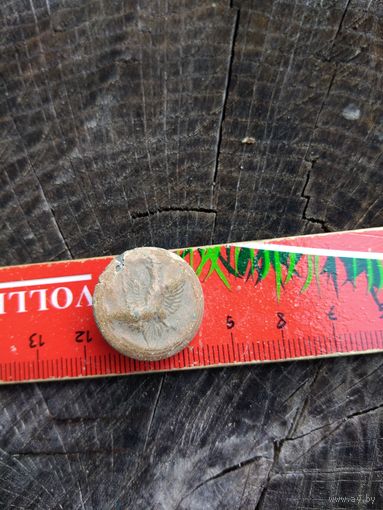 Орлик. Польша (15). Находка