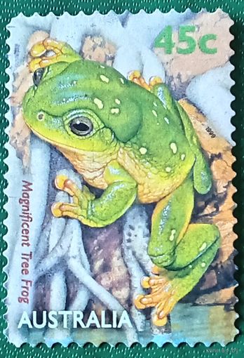 Австралия 1999. Великолепная древесная лягушка