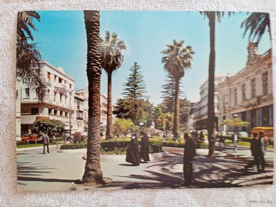 Алжир. Площадь Революции