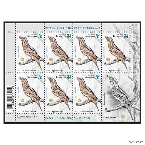 2022 БЕЛАРУСЬ  Малый лист "Вертишейка" MNH