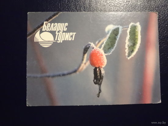 Календарик 2002 г.  Беларустурист.