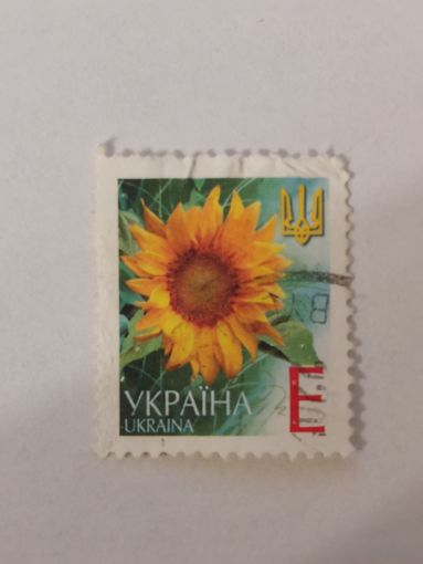 Марка шестого стандартного выпуска 2004 года - Подсолнечник однолетний (Helianthus annuus)