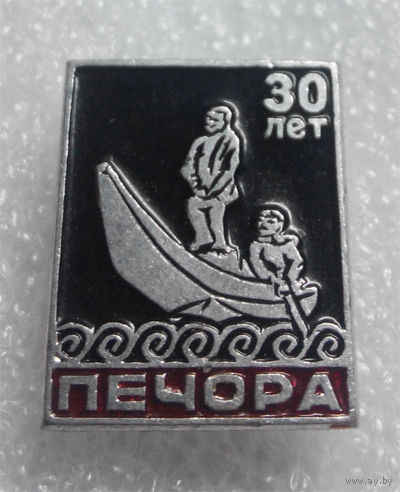 Значок. Печора 30 лет #0190