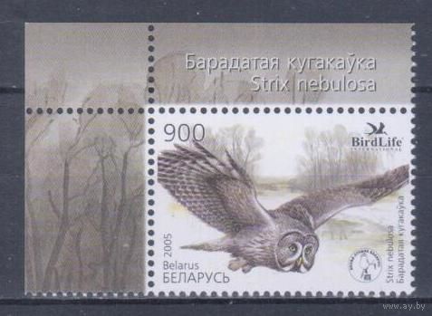 [1457] Беларусь 2005. Фауна.Птица года.Сова. Одиночный выпуск. MNH