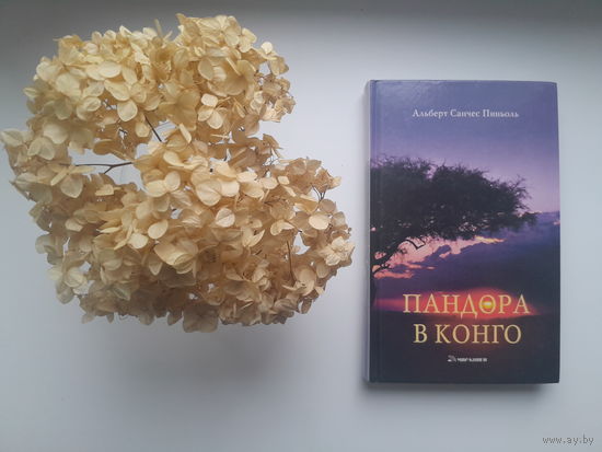 Альберт Санчес Пиньоль, "Пандора в Конго"