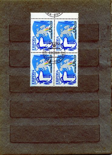 СССР, 1989,ЕВРОПА - наш общий дом, 1м в к/блок, гашеная