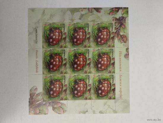 Беларусь 2015 Божья коровка.