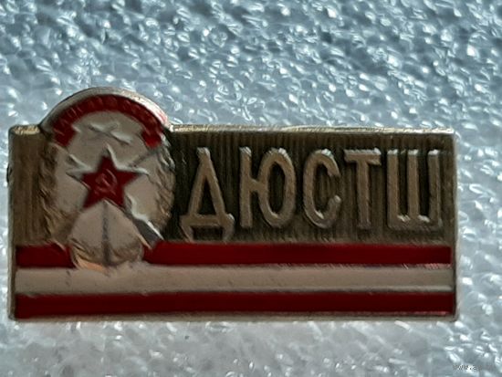Значок ДЮСТШ.