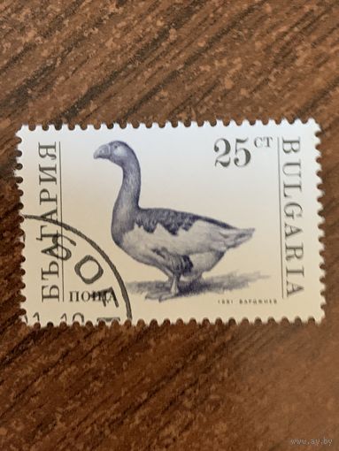 Болгария 1991. Домашний скот. Гусь. Марка из серии