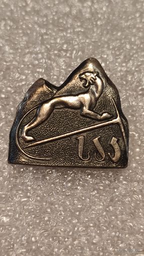 Значек знак Альпинист Грузинская ССР Альпинизм Скалолазание Горы Снежный Барс тяжелый