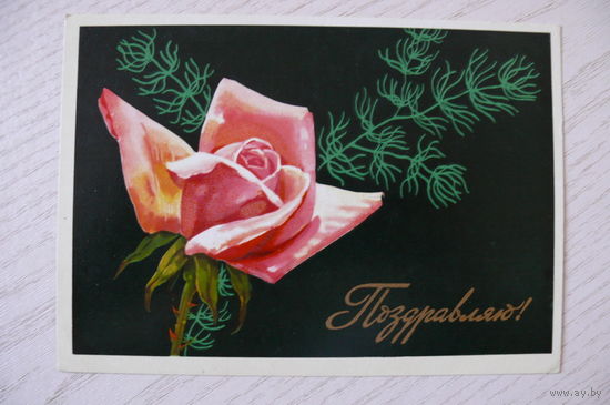 Куртенко А., Поздравляю! 1972, чистая (роза).