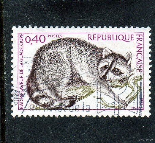 Франция.Ми-1843.Гваделупский Енот. Серия: охрана природы. 1973.