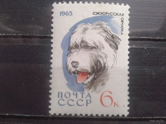 1965 Южнорусская овчарка