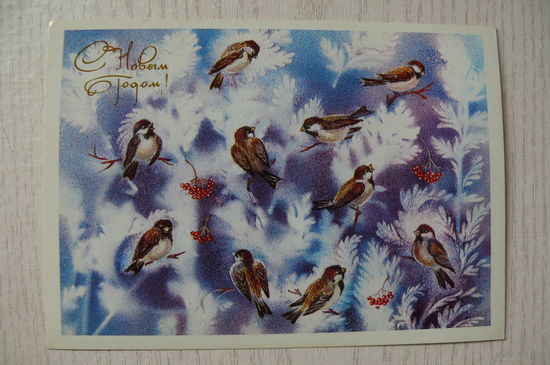 Соколова А., С Новым годом! 1989, чистая (птицы, воробьи, рябина).