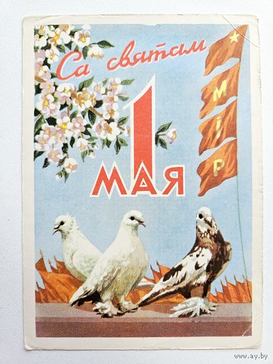 Зеленов 1960 1 мая открытка белорусская БССР Беларусь РЕДКАЯ