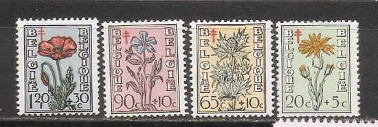 ФФ1 Бельгия 1949 Цветы
