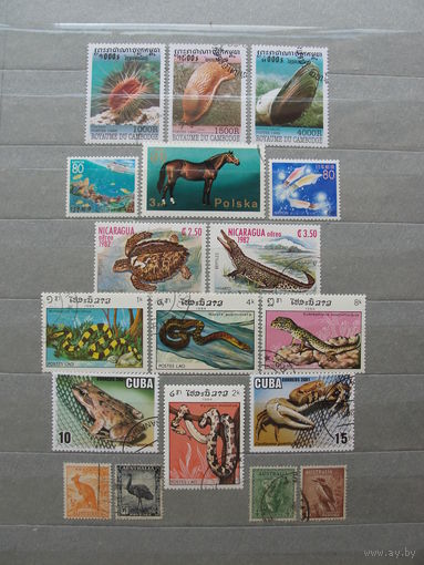 Продажа коллекции с 1 рубля! Фауна на почтовых марках мира.