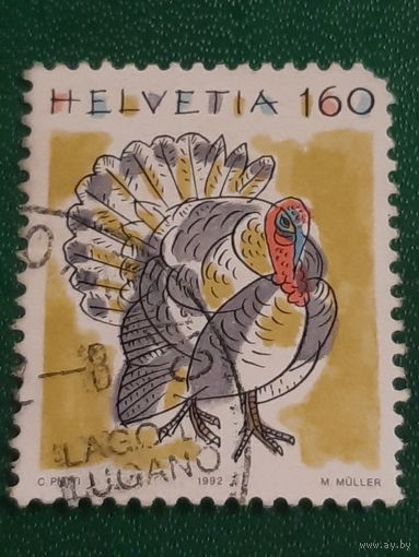 Швейцария 1992. Домашние животные. Индейка. Марка из серии