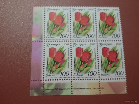 Беларусь. 2008. Стандарт. 100. зак. 20-2010. Простая бумага. Блок из 6 марок (А042)