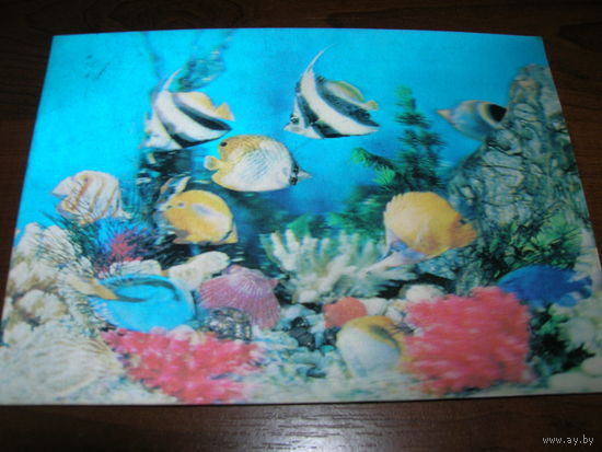 Стерео Рыбки подводного мира 1981 год Япония Подписана