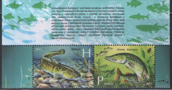 Две марки РБ - Налим. Щука