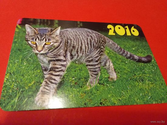Календарик 2016г.