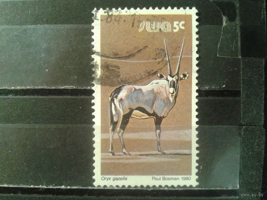 Юго-западная Африка, 1980. Газель орикс