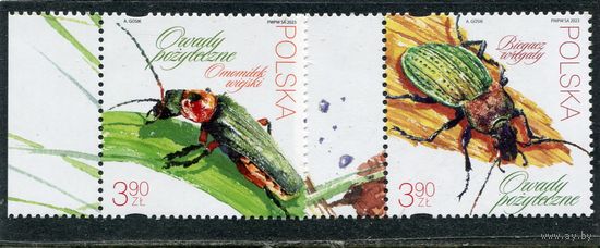 Польша. Фауна. Полезные насекомые. Жуки
