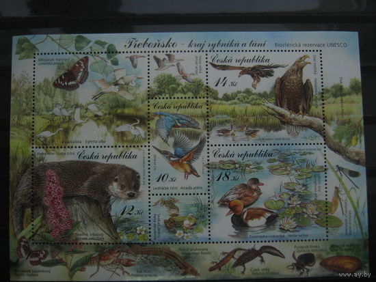 Марки - Чехия, блок, фауна и флора, птицы, насекомые, бабочки, 2008