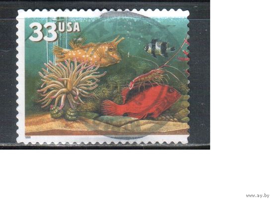 США-1999 (Мих.3140) , гаш., Фауна, Аквариумные рыбки
