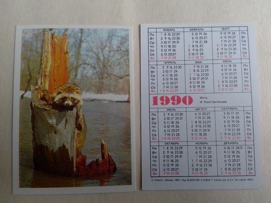 Карманный календарик. Енот. 1990 год
