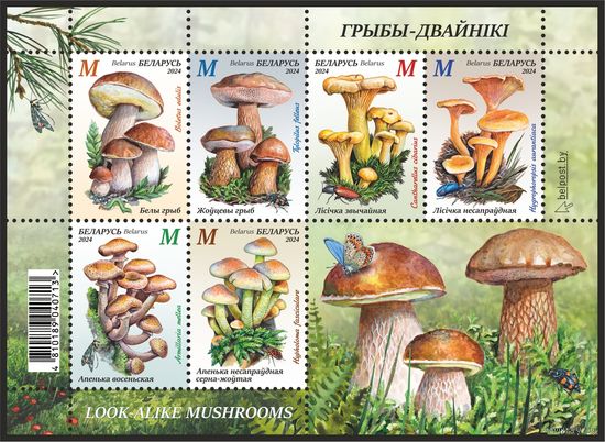 2024г Беларусь MNH  Малый лист "Грибы-двойники"