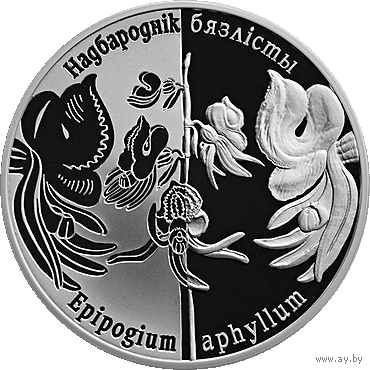 Надбородник безлистный. 20 рублей.