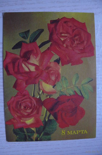 Максимов Б., 8 Марта; 1976, подписана.